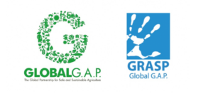 logoss