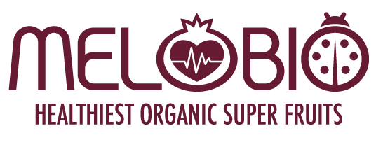 logo main